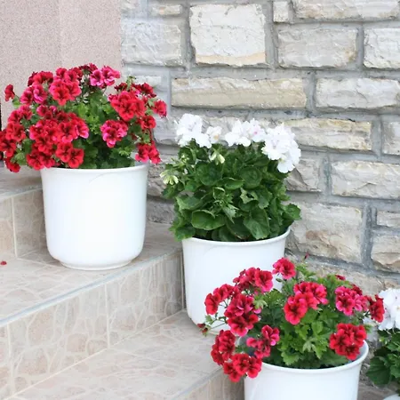 By The Sea - 4198 Appartement *