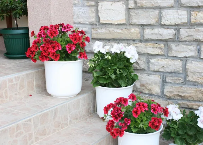 Apartments By The Sea Vodice - 4198 Apartman *